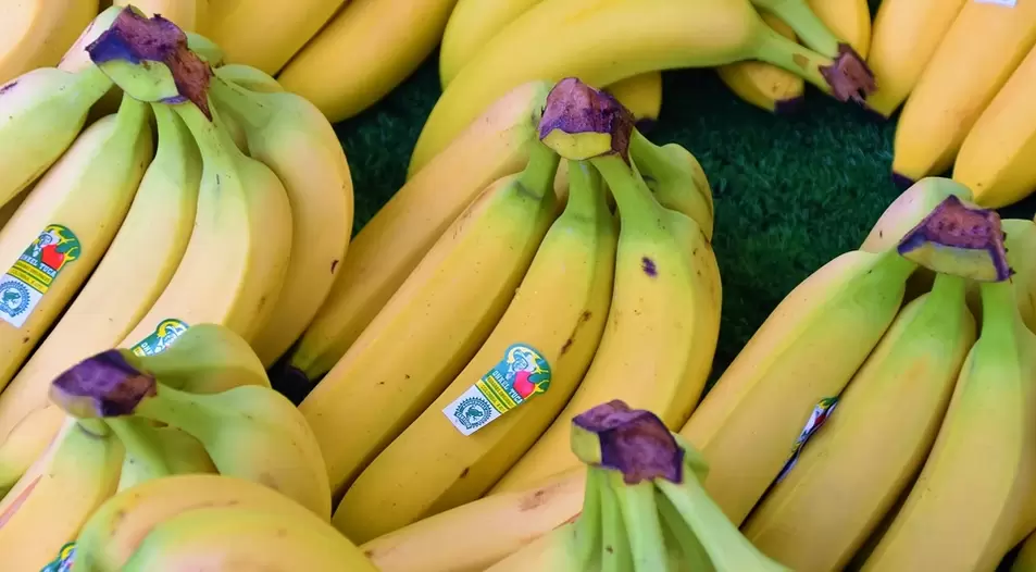 bananas for strength