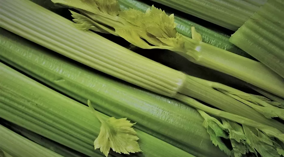 celery for strength