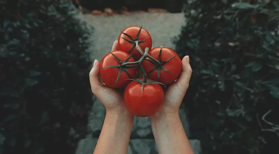 tomatoes for strength